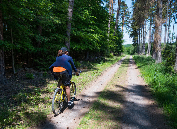 Person fährt Fahrrad im Wald