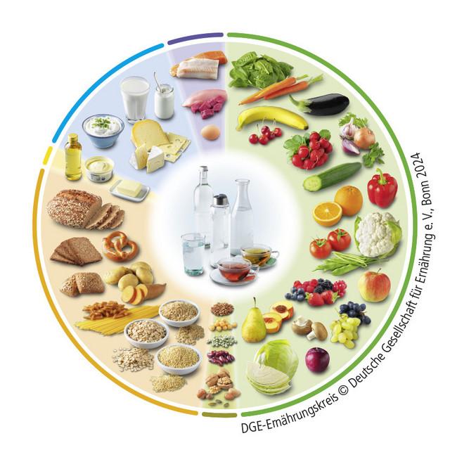 Im Bild sehen Sie den DGE-Ernährungskreis. In diesem Kreis sind verschiedene Lebensmittel abgebildet und in 7 Gruppen geteilt. 1. Getränke 2. Obst und Gemüse 3. Hülsenfrüchte und Nüsse 4.	Getreide, Getreideprodukte und Kartoffeln 5. Öle und Fette 6. Milch und Milchprodukte 7. Fleisch, Wurst, Fisch und Eier